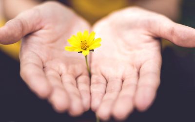 La donazione di Anna Sala per la Fondazione Rudolf Steiner